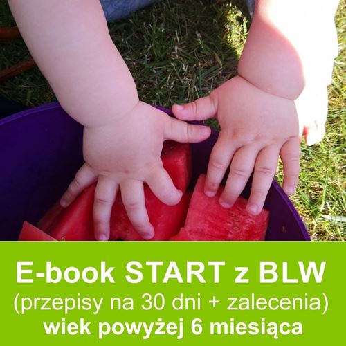 E-book start z blw przepisy dla dzieci.pl ebook z przepisami dla niemowląt